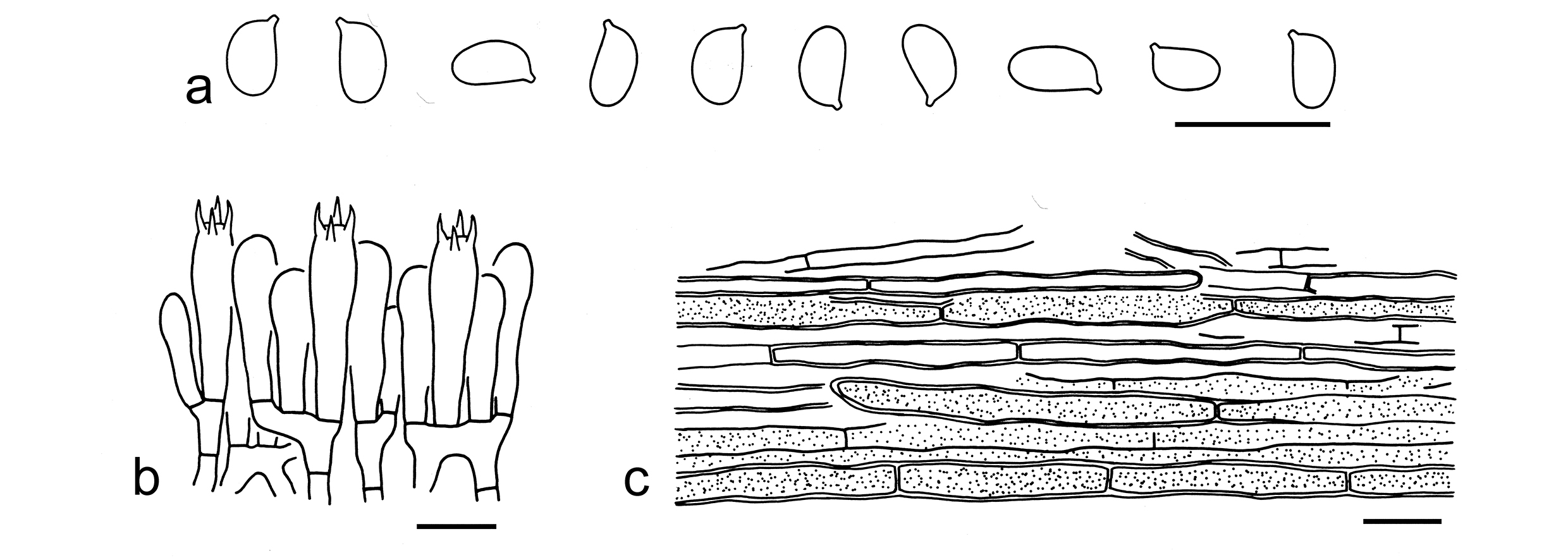 Figure 93